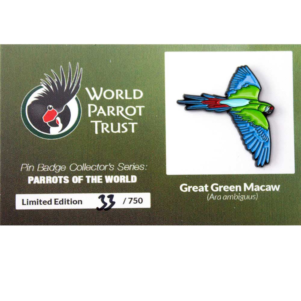 Enamel Pin | Great Green Macaw