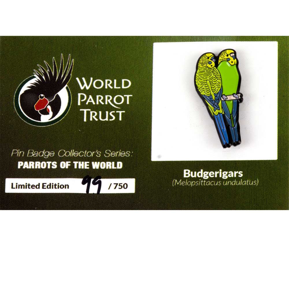 Enamel Pin | Budgerigars