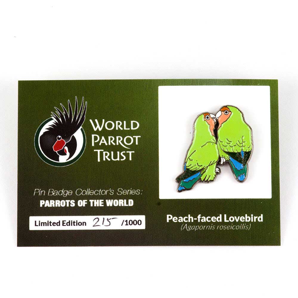 Enamel Pin | Peach-faced Lovebirds