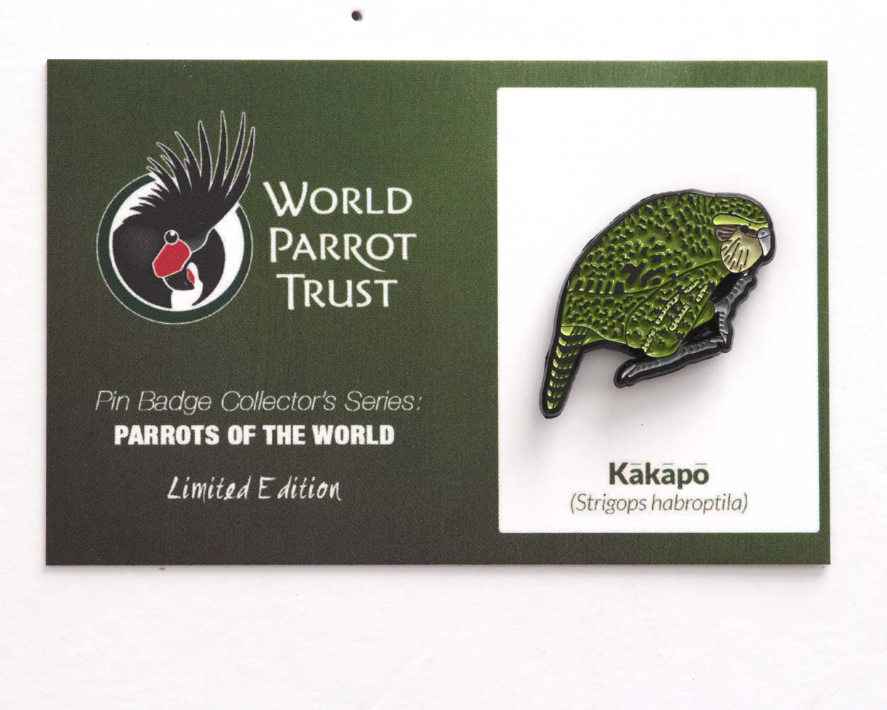 Enamel Pin | Kakapo