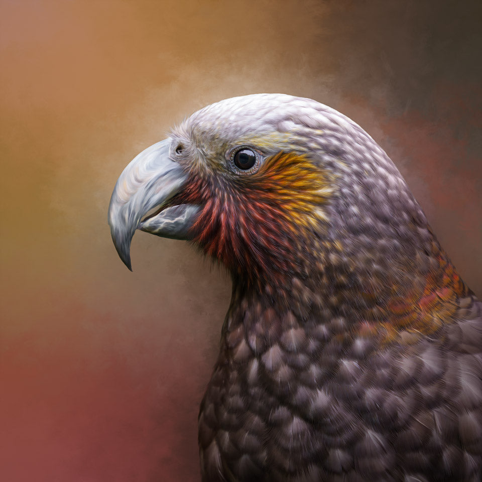 Judi Lapsley Miller | Portrait of a Kākā