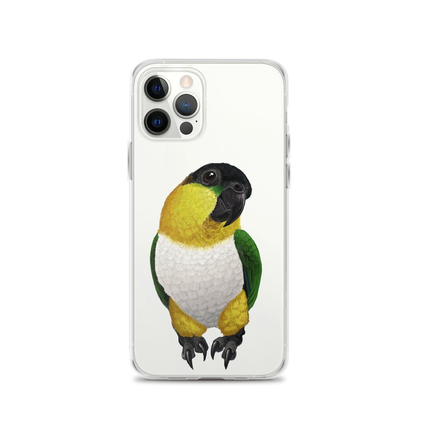 Clear Case for iPhone® | Black-headed Parrot