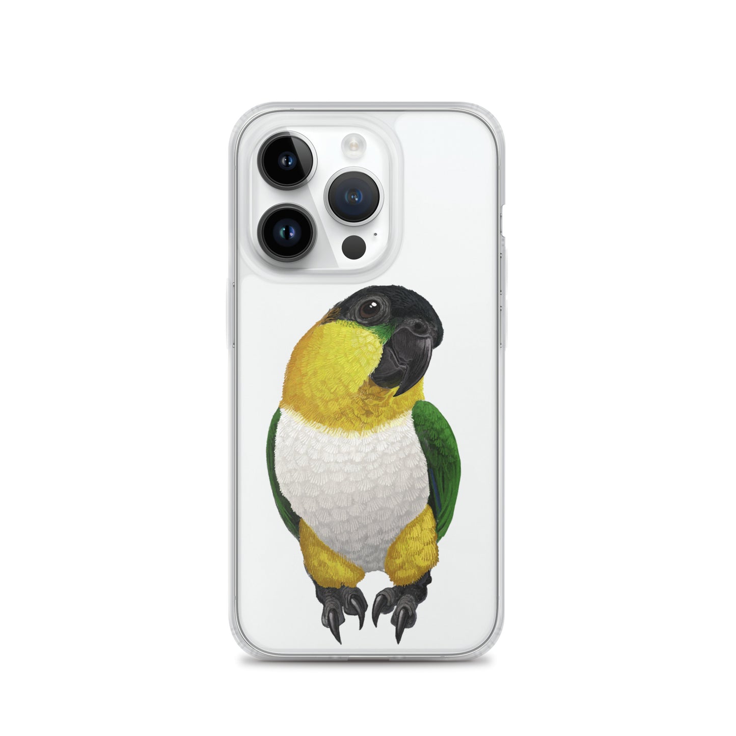 Clear Case for iPhone® | Black-headed Parrot