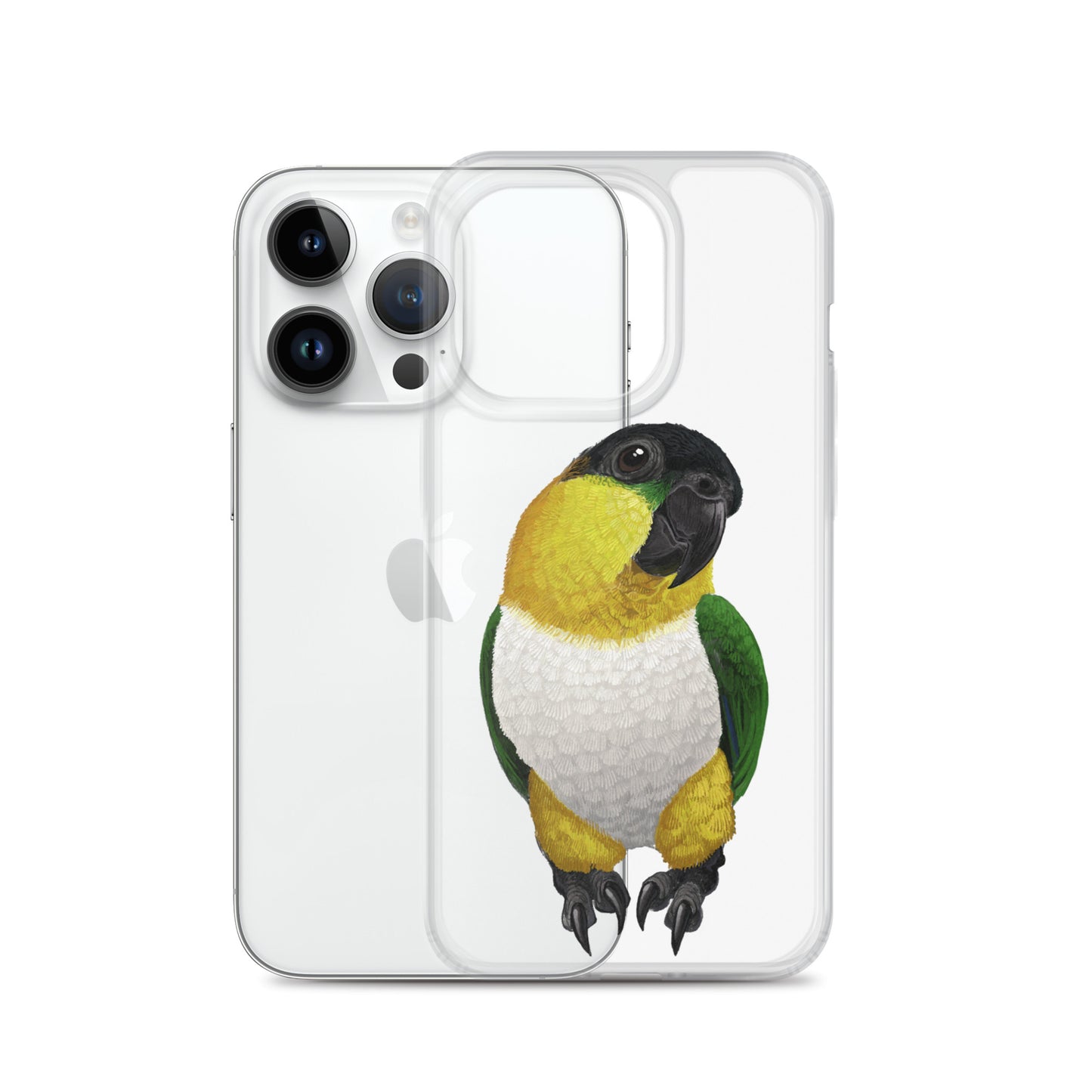 Clear Case for iPhone® | Black-headed Parrot