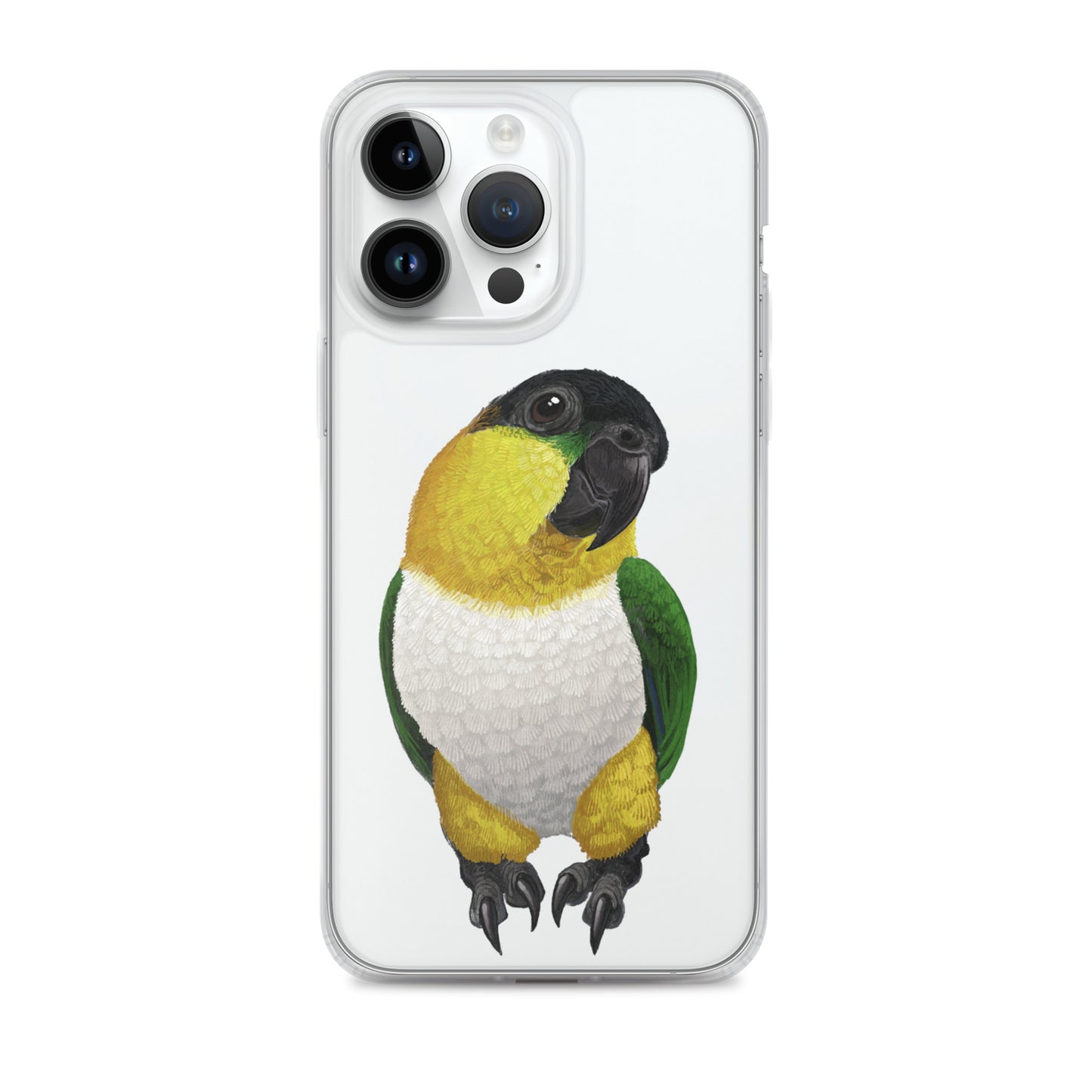 Clear Case for iPhone® | Black-headed Parrot