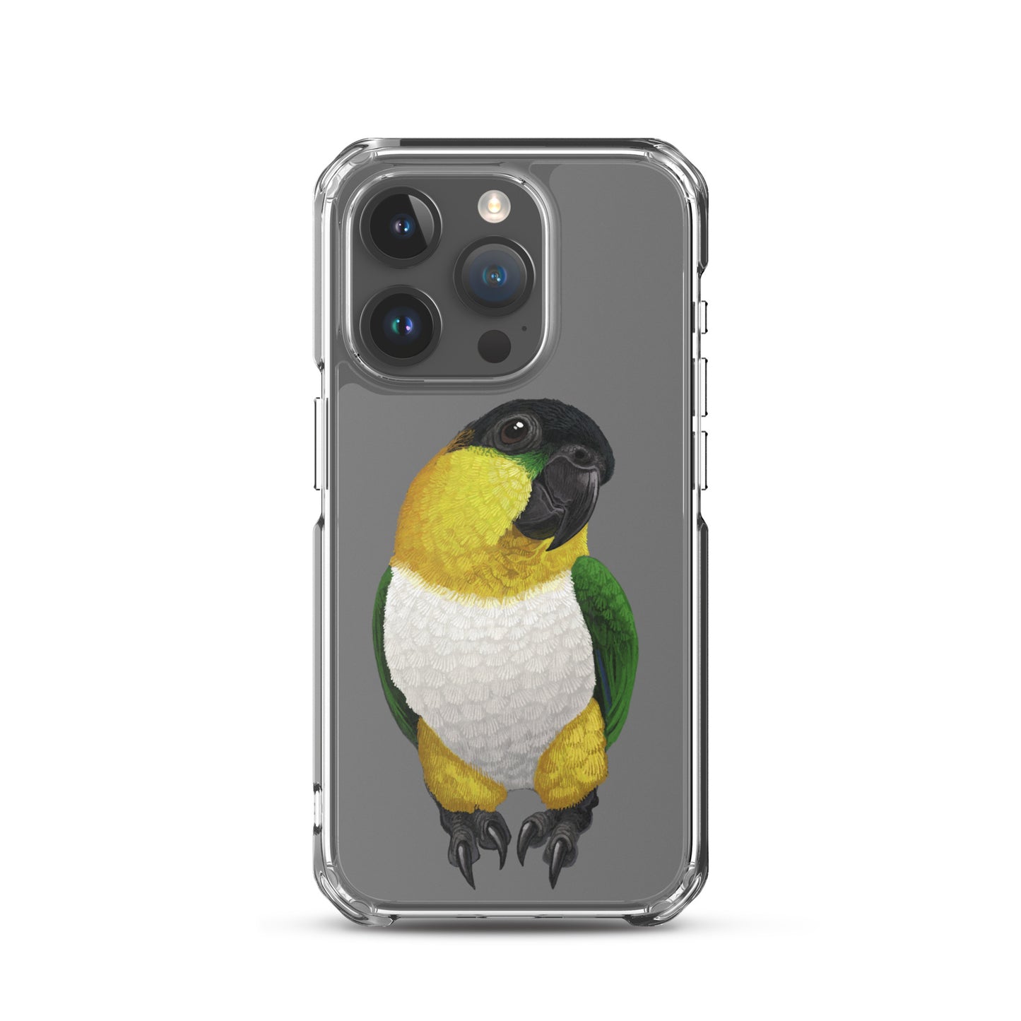 Clear Case for iPhone® | Black-headed Parrot