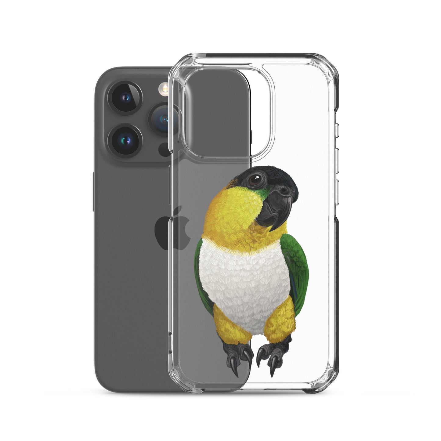 Clear Case for iPhone® | Black-headed Parrot