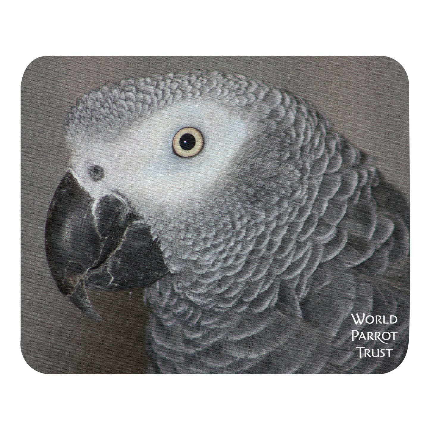 Mouse Pad | African Grey