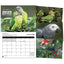 World Parrot Trust 2025 Parrot Calendar