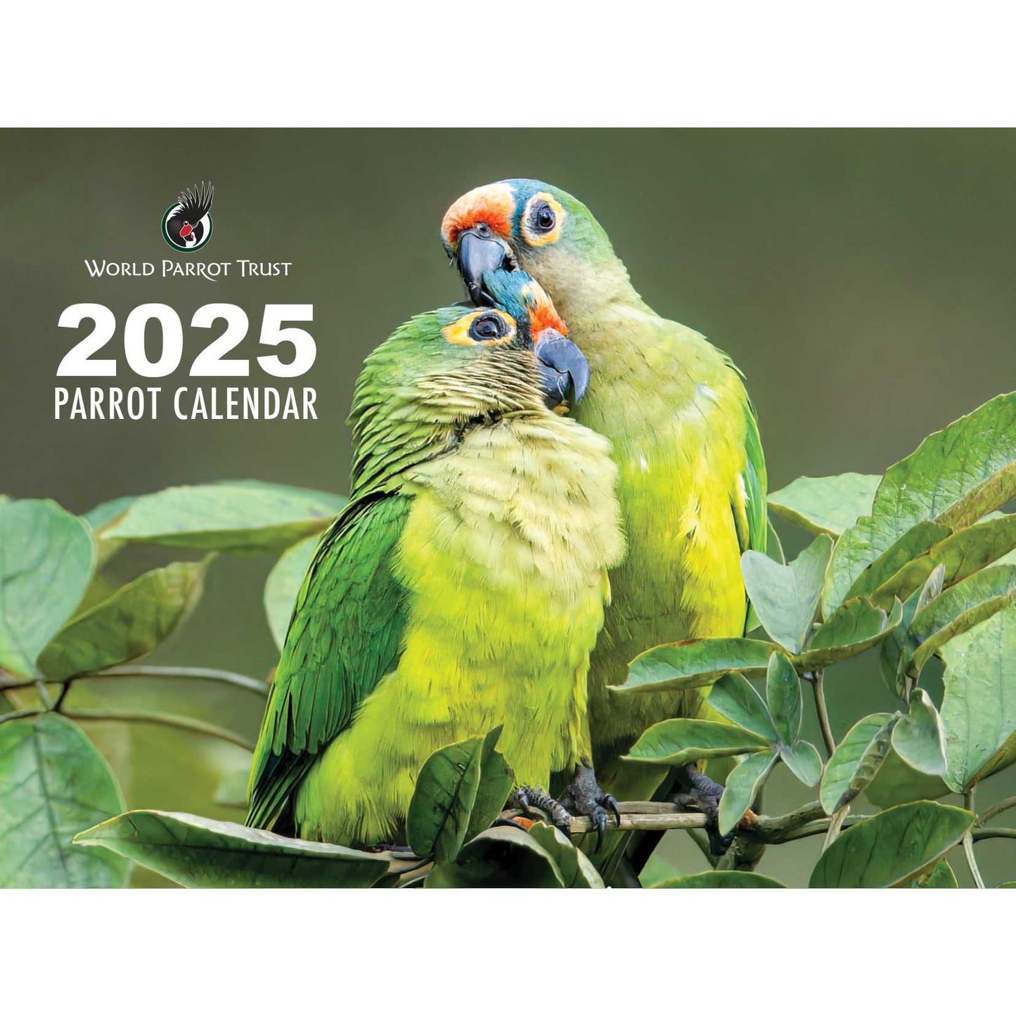 World Parrot Trust 2025 Parrot Calendar