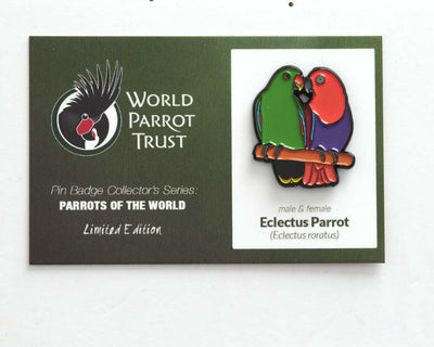 Enamel Pin | Eclectus Parrots