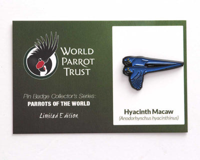 Enamel Pin | Hyacinth Macaws