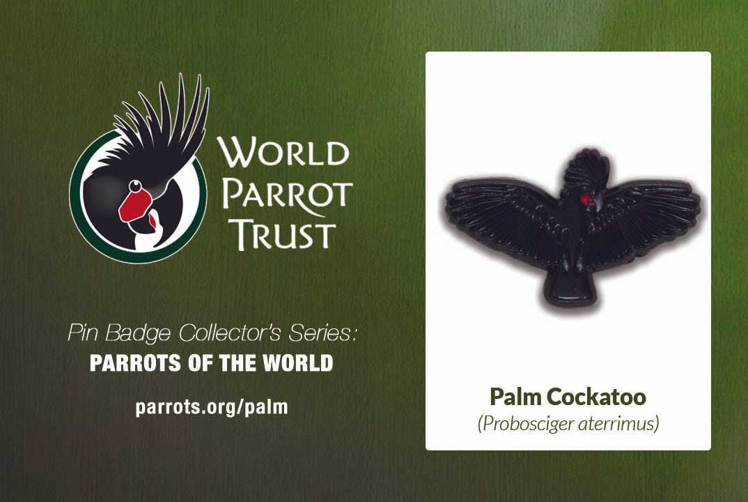 Enamel Pin | Palm Cockatoo