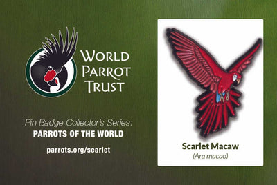 Enamel Pin | Scarlet Macaw