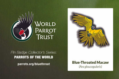Enamel Pin | Blue-throated Macaw