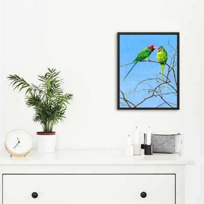 Jeremy Paul | Blossom-headed Parakeets