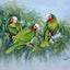 Penny Meakin | Cuban Amazon Parrots