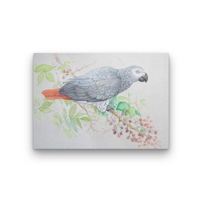 Ria Winters | African Grey Parrot