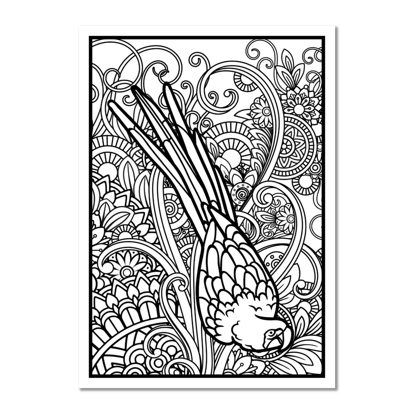Colouring Book | For Parrot Lovers