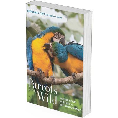 Parrots of the Wild