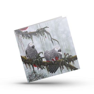 Greeting Card | Grey Parrots