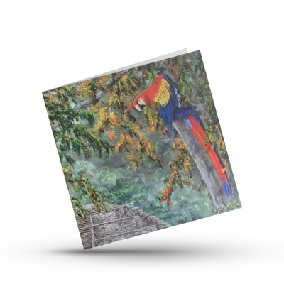 Greeting Card | Scarlet Macaws