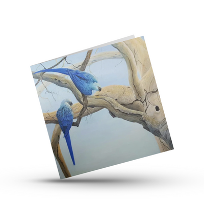 Greeting Card | Spix's Macaws (1)