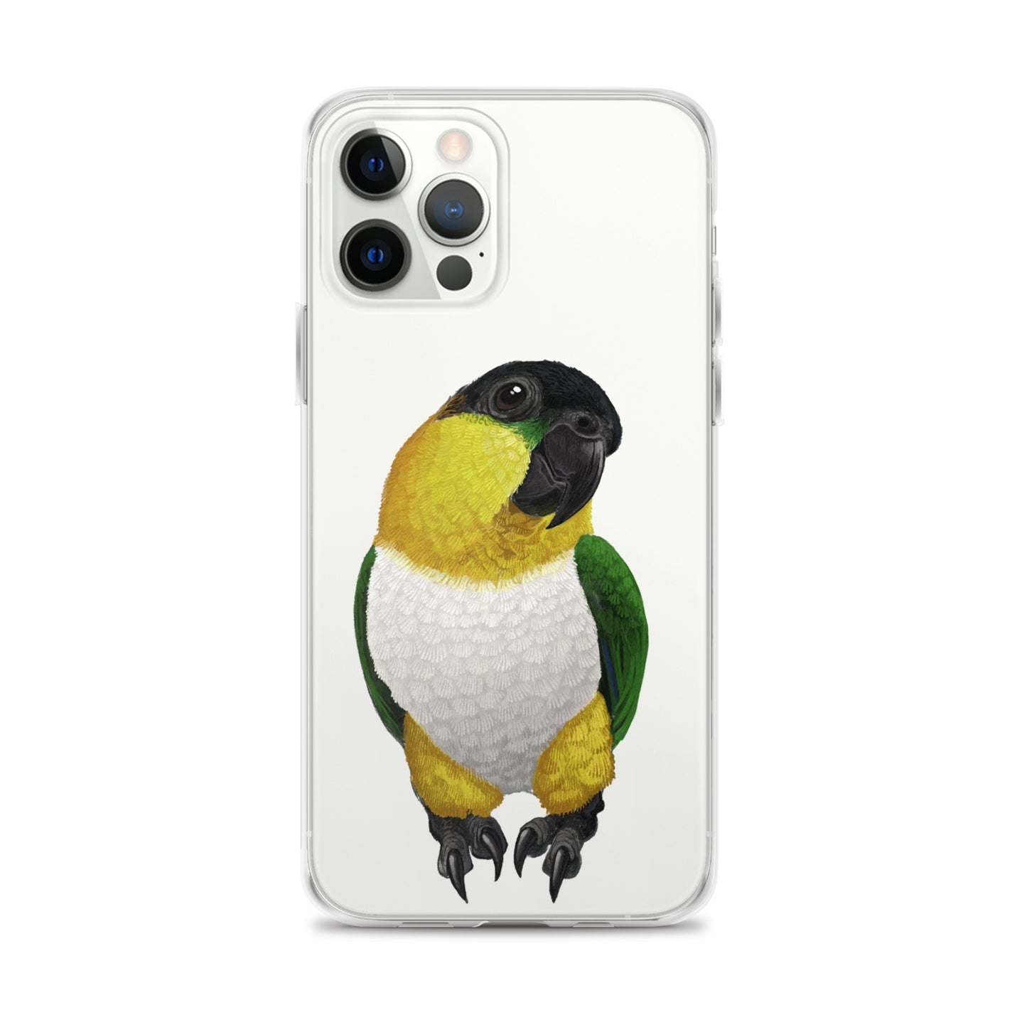 Clear Case for iPhone® | Black-headed Parrot