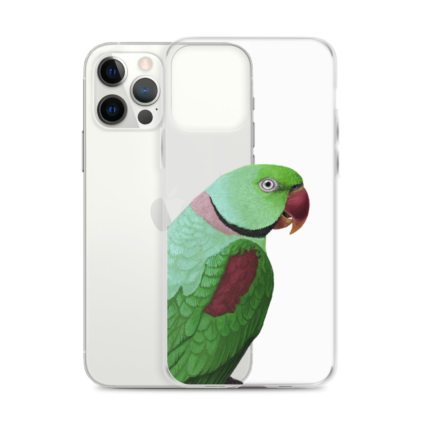 Clear Case for iPhone® | Ringneck Parakeet