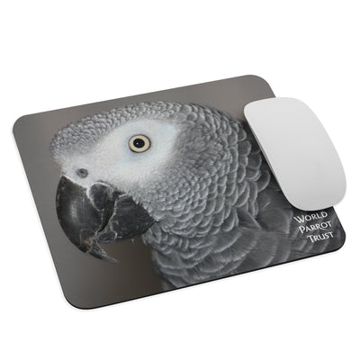 Mouse Pad | African Grey