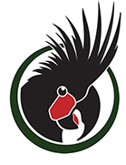 Image link
